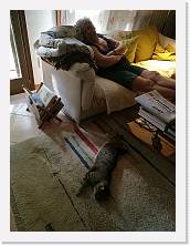 ZZIMG_20170701_212759 (2) * cof * cof * 2976 x 3968 * (4.46MB)